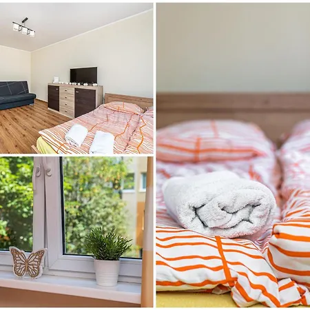 Apartament Orzel *